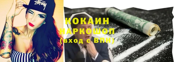 соль ск Богданович