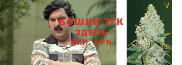 соль ск Богданович