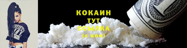 соль ск Богданович