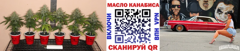 ТГК вейп  как найти закладки  Обь 
